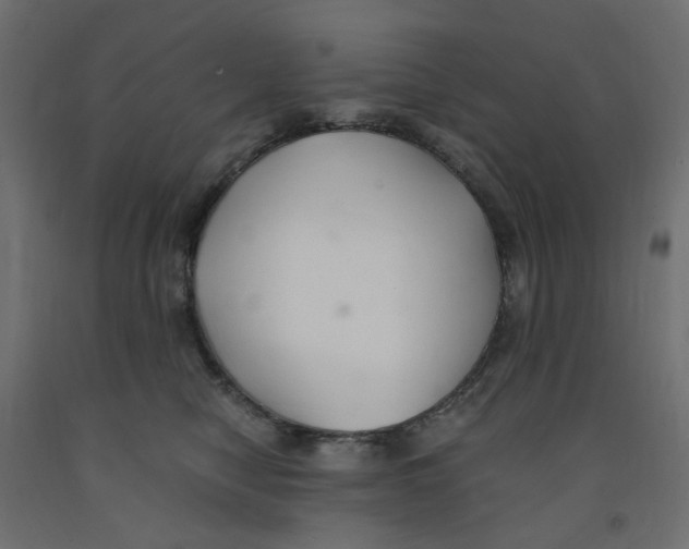 X0000091860470200710031705