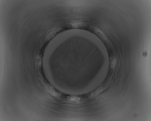 X0000091860471200710031705