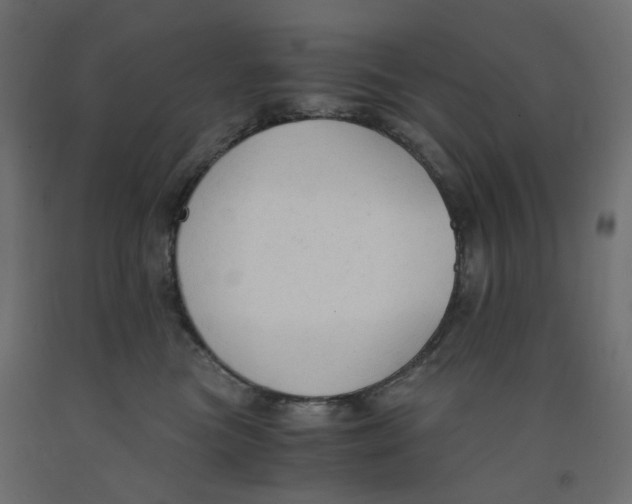 X0000091860473200710031705