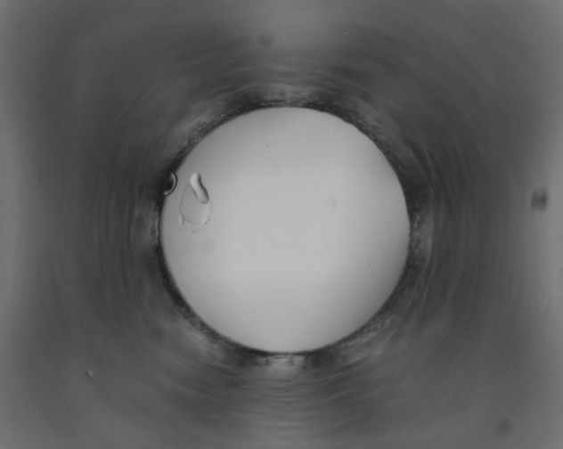 X0000091860474200710031705