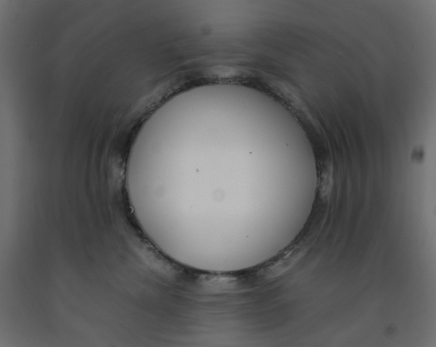 X0000091860476200710031705