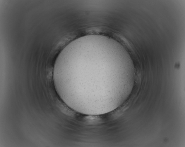 X0000091860477200710031705