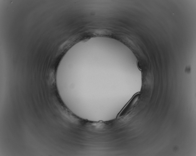 X0000091860478200710031705