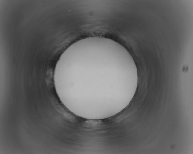 X0000091860480200710031705