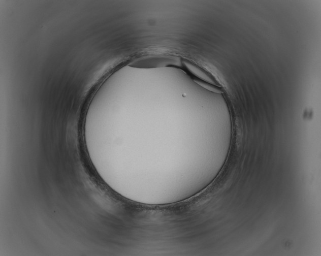 X0000091860482200710031704