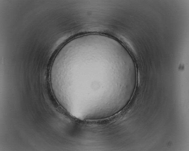 X0000091860483200710031704