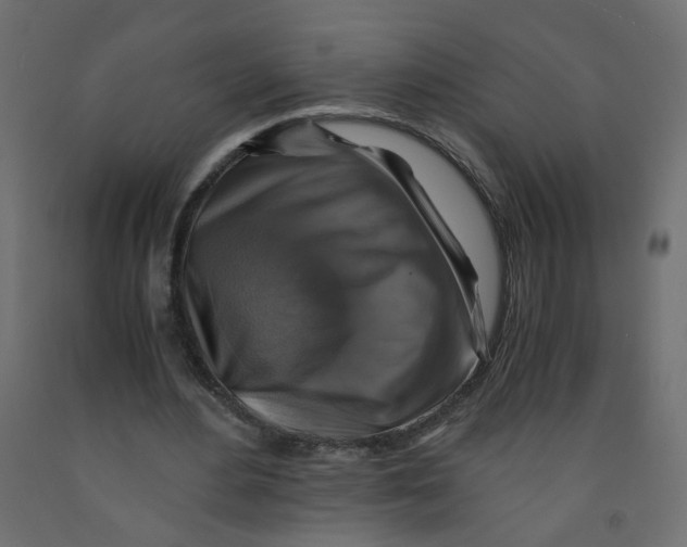 X0000091860484200710031704