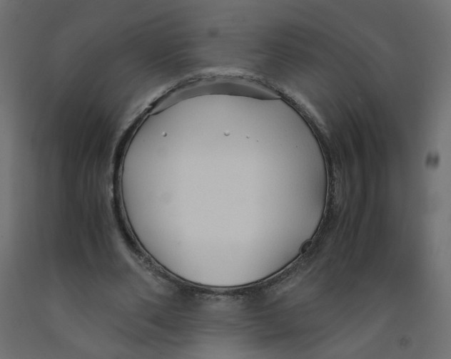 X0000091860486200710031704