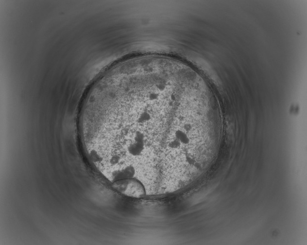 X0000091860487200710031704