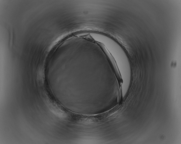 X0000091860488200710031704