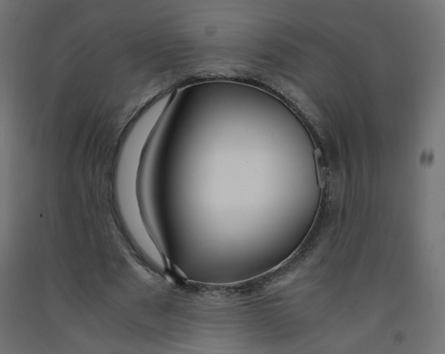 X0000091860489200710031704