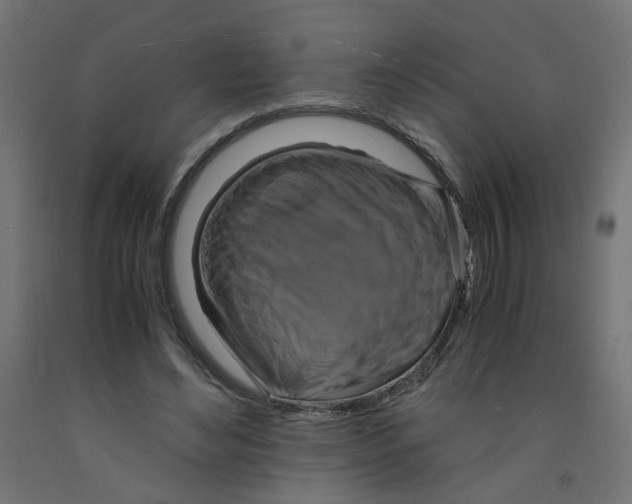 X0000091860492200710031704