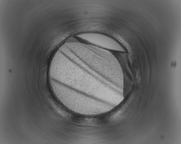 X0000091860493200710031704