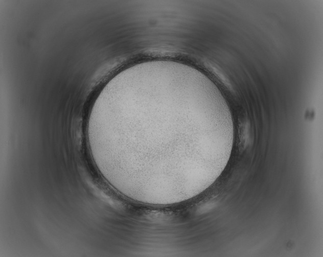 X0000091860494200710031704