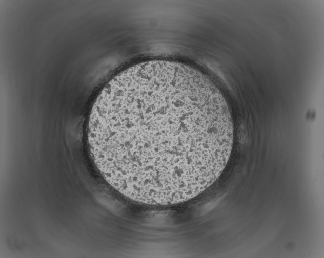 X0000091860495200710031704