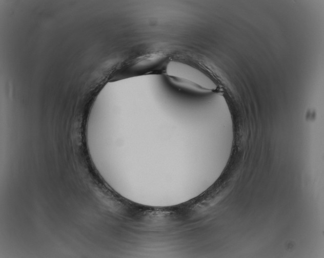 X0000091860497200710031704