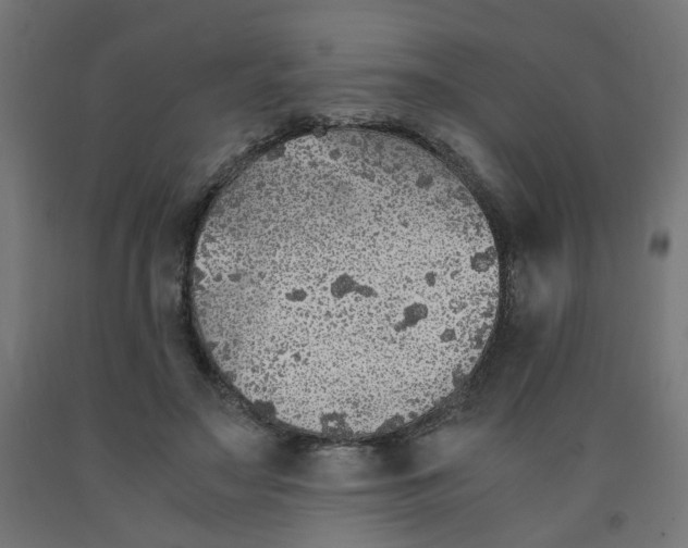 X0000091860499200710031704