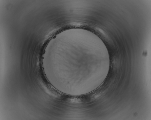 X0000091860500200710031704