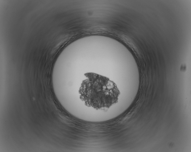 X0000091860501200710031704