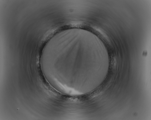 X0000091860502200710031704