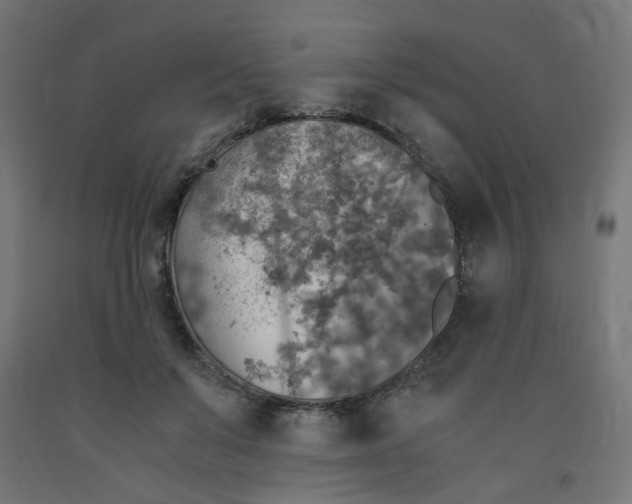 X0000091860503200710031704