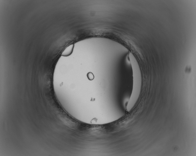 X0000091860505200710031704