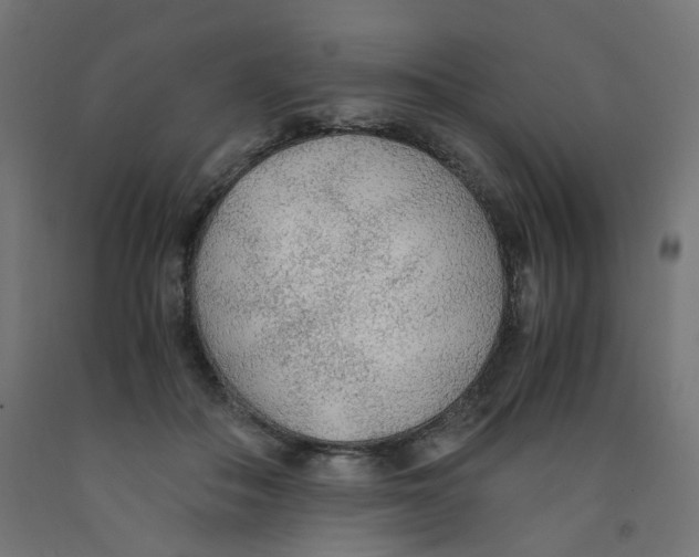 X0000091860506200710031704