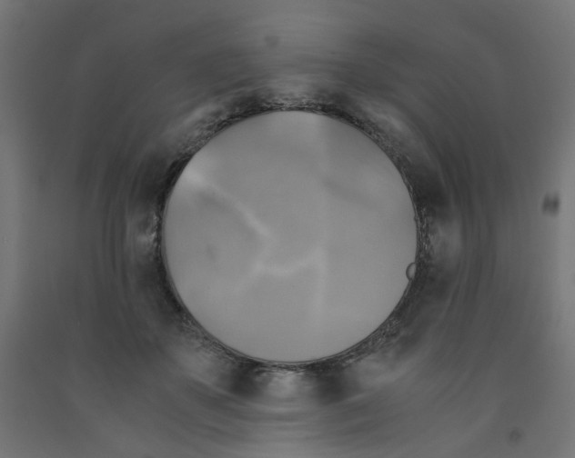 X0000091860507200710031704