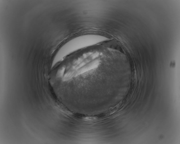 X0000091860508200710031704