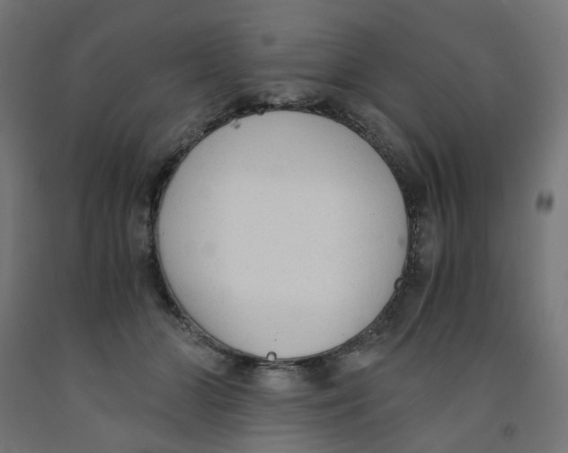 X0000091860510200710031704