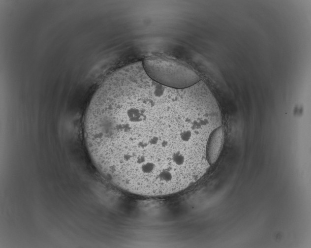 X0000091860511200710031704