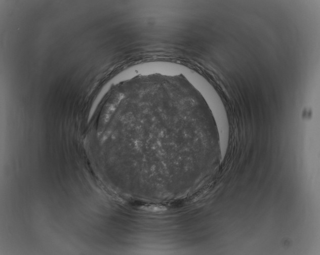 X0000091860512200710031704