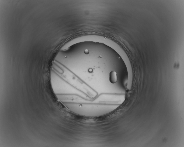 X0000091860513200710031704