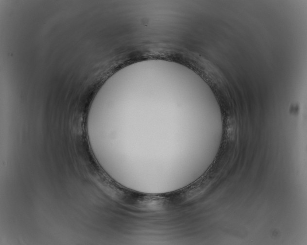 X0000091860514200710031704