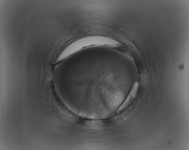 X0000091860517200710031704