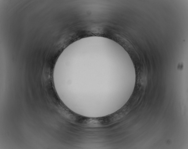 X0000091860518200710031704