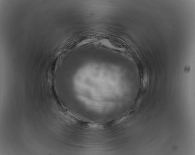 X0000091860520200710031704