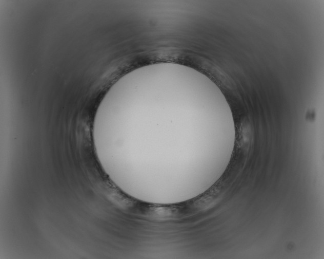 X0000091860522200710031704