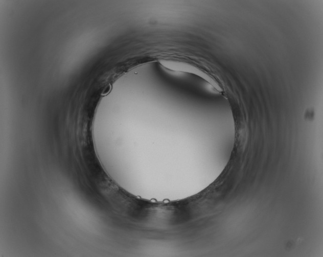 X0000091860525200710031704