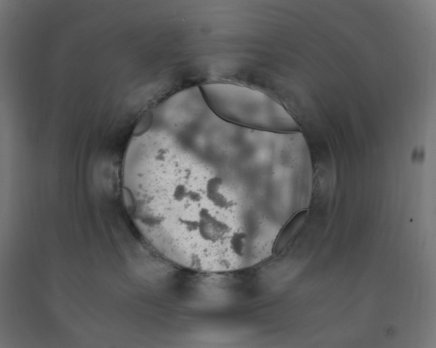 X0000091860527200710031704