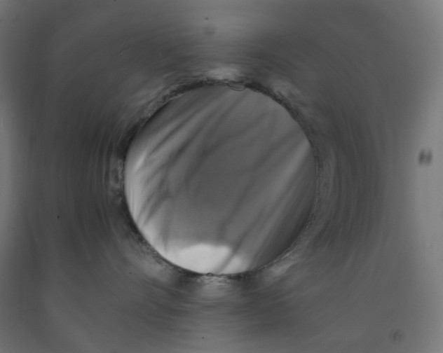 X0000091860528200710031704