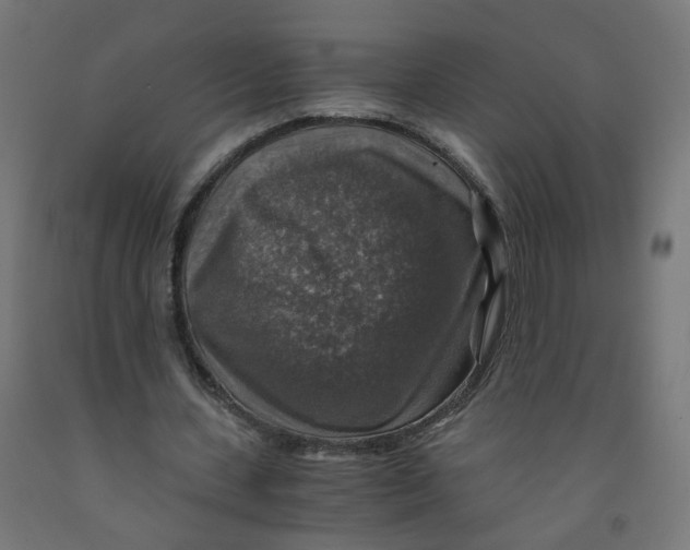 X0000091860531200710031703