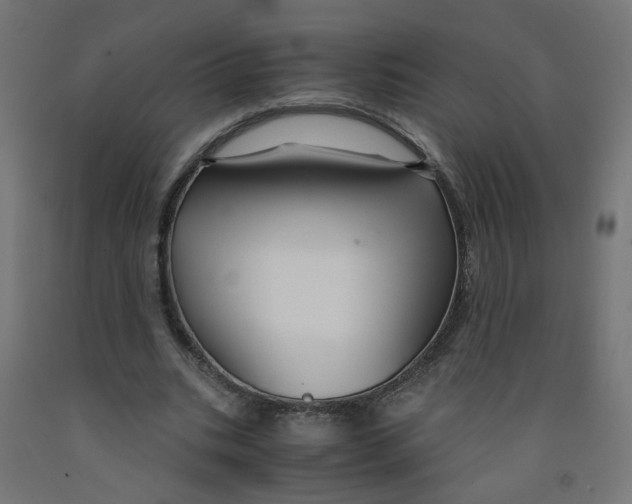 X0000091860535200710031703