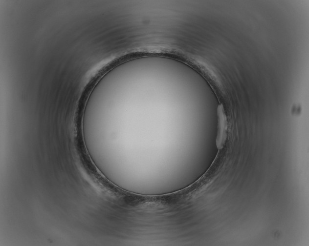 X0000091860536200710031703