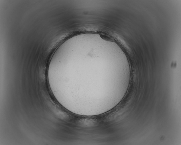 X0000091860537200710031703