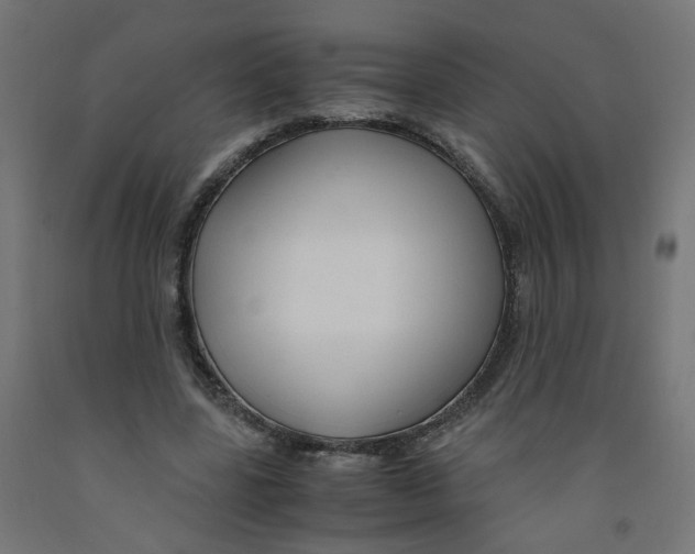 X0000091860539200710031703