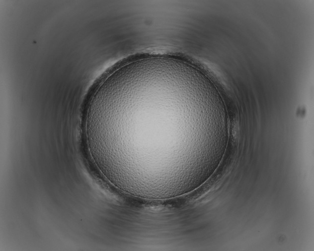 X0000091860540200710031703