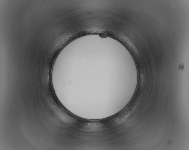 X0000091860541200710031703