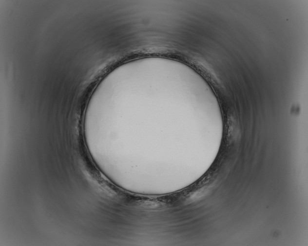 X0000091860542200710031703