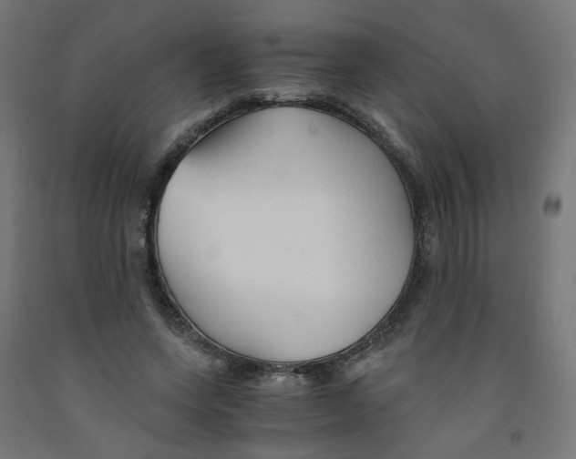 X0000091860543200710031703